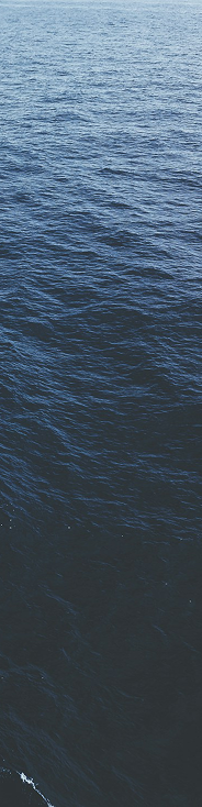 Ocean 1